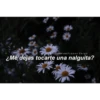 Tumblr con frases verga (3) 21