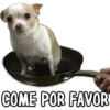 COME POR FAVOR