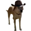 Perritos Random 2 24