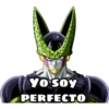 YO SOY PERFECTO