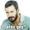 eres gey?