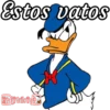Respuestas 29