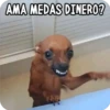 AMA MEDAS DINERO?