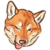 Shiba inu Blixa 25