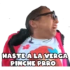 HASTE A LA VERGA
PINCHE PRR0
