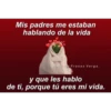 Tumblr con frases verga (3) 24