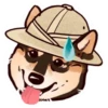 Shiba inu Blixa 26