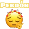 PERDON
COKKI