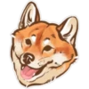 Shiba inu Blixa 27