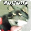 WAAAZAAAAA