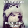 Ahorita No Joven #2 29