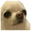 Memes uwu 4 30