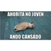 Ahorita No Joven #2 30