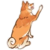 Shiba inu Blixa 29