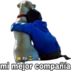 Sp
mi mejor compañía