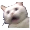 Memes uwu 5 5