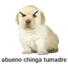 Memes uwu 5 6