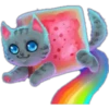 Kittens 5