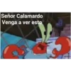 Señor Calamardo
Venga a ver esto