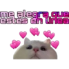 Kittens 9