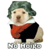 Memes uwu 5 12
