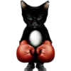 Kittens 12