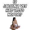 12 ¿ALGUNA VEZ HAS VISTO NOPOR?