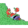 Seu caranguejo 11