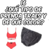 16 ¿QUÉ TIPO DE PRENDA TRAES Y DE QUE COLOR? SHEN