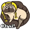 Pug Animado 8