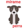 Perros pitbull 9