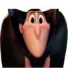 Hotel Transylvania 1 10