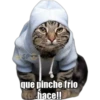 ASP
que pinche frio
Kachace!!