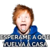 ED SHEERAN 14