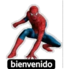 spiderman 9