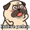 Pug Animado 11