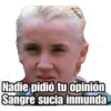 Nadie pidió tu opinión
Sangre sucia inmunda
@ratlauilaz