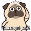 Pug Animado 13