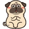 Pug Animado 14