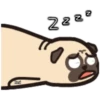 Pug Animado 15