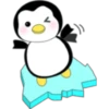 Pingüinito bebe 14