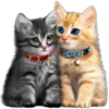Kittens 22