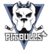 Perros pitbull 11