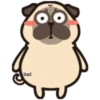 Pug Animado 16