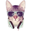 Kittens 23