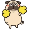 Pug Animado 18