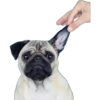 Pug Mood 18