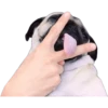 Pug Mood 19
