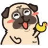 Pug Animado 21