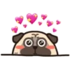 Pug Animado 22